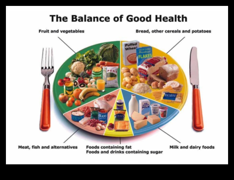 הצלחת המאוזנת מדריך לאכילה למען רווחה 4 הצלחת המאוזנת: ניווט בחירות תזונתיות לרווחה
