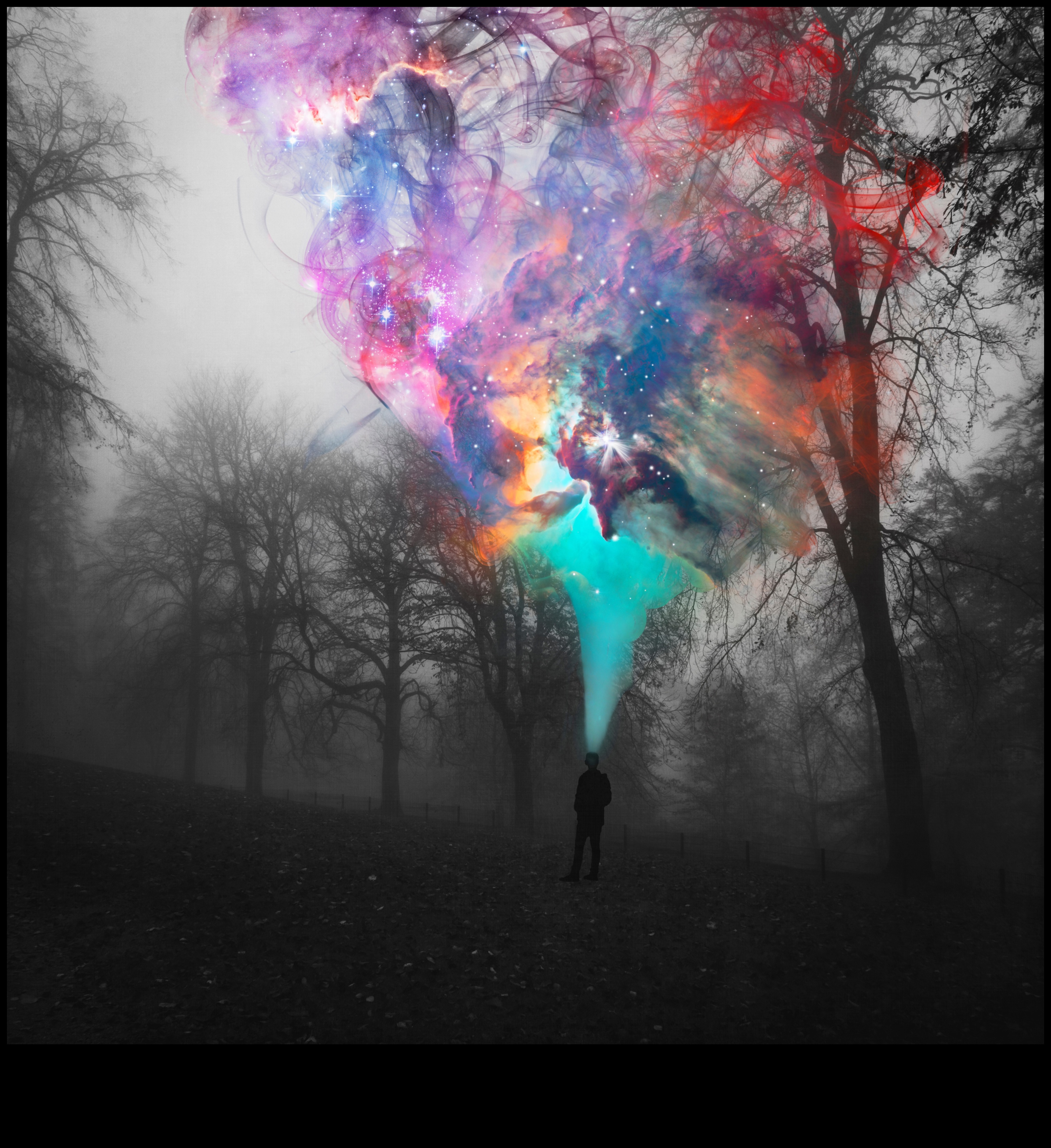 הרפתקאות מופשטות מסע לעולם הבלתי נראה של הצילום 2 הרפתקאות מופשטות: חקר הבלתי נראה בצילום