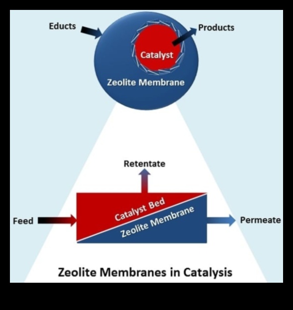קטליזטור חיבור: מצית קשרים בעידן הדיגיטלי