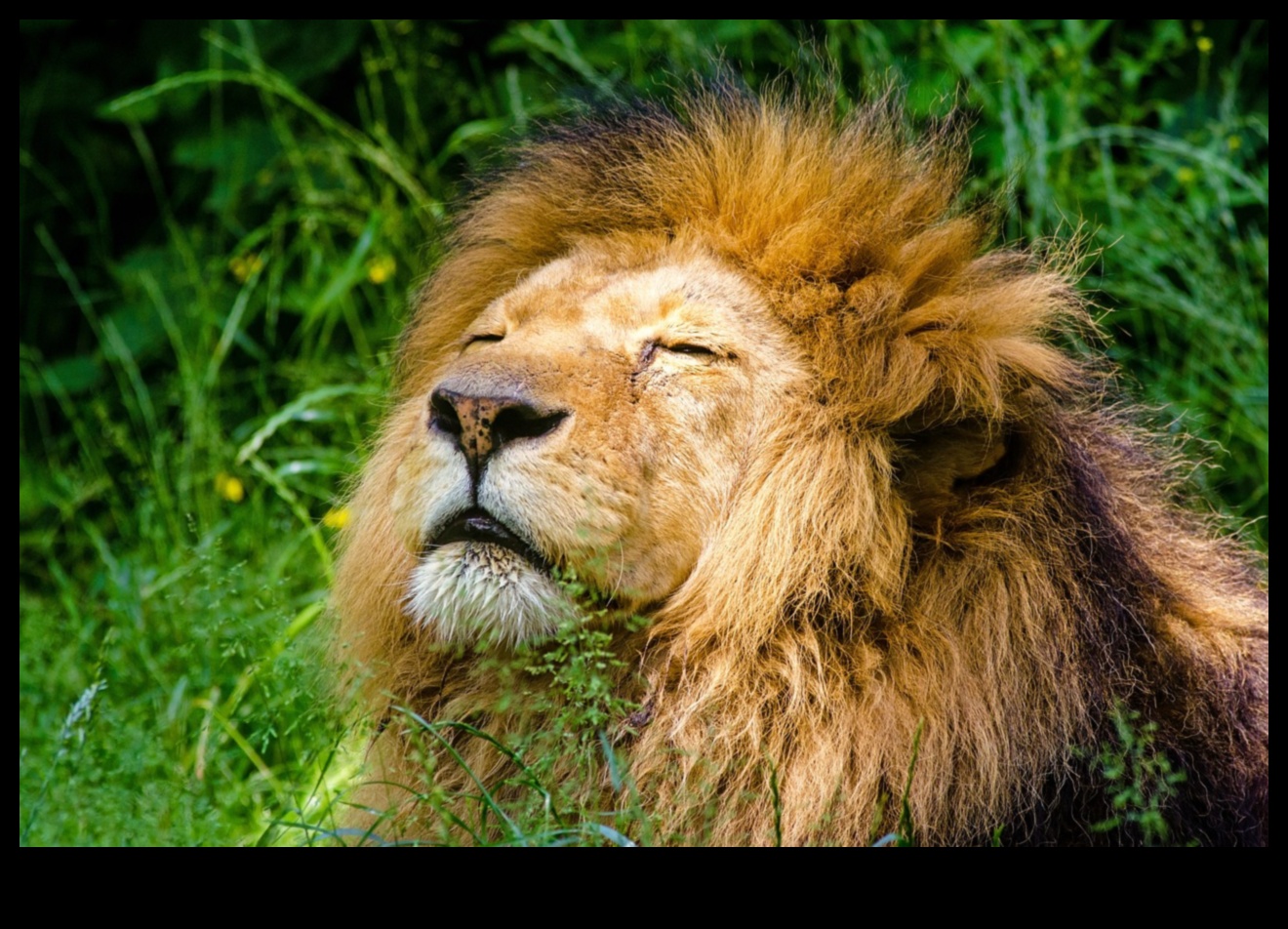 Aperture Alchemy שנה את הצילום שלך עם השכלת מומחים 4 אלכימיה של צמצם: שנה את הצילום שלך עם השכלת מומחים