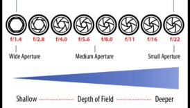 Aperture Alchemy 12 חודשים את הצילום האישי שלך ולא באמצעות השכלת מומחים מקצועיים 5 אלכימיה של צמצם: שנה את הצילום שלך עם השכלת מומחים