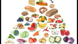 סימפוניה מיקרו-נוטריאנטים: הרמוניזציה של בריאות באמצעות תזונה