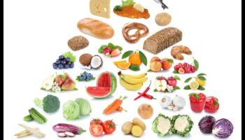 סימפוניה מיקרו-נוטריאנטים: הרמוניזציה של בריאות באמצעות תזונה