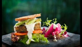 בריאות קולינרית: מסע תזונה לבריאות הציבור