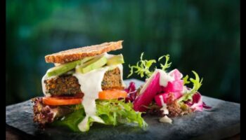 בריאות קולינרית: מסע תזונה לבריאות הציבור