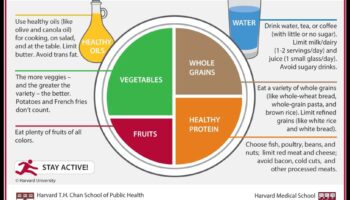 הצלחת המאוזנת: ניווט בחירות תזונתיות לרווחה