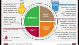 הצלחת המאוזנת: מדריך להצלחת תזונה גריאטרית