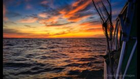 הרפתקאות מופשטות: חקר הבלתי נראה בצילום