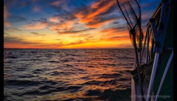 הרפתקאות מופשטות: חקר הבלתי נראה בצילום