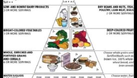 חוכמה קולינרית: תזונה גריאטרית להזדקנות בריאה