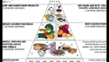 חוכמה קולינרית: תזונה גריאטרית להזדקנות בריאה
