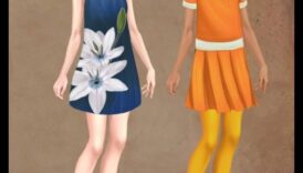 היומן של פאשניסטה: תיעוד האבולוציה של סגנון טרנדי