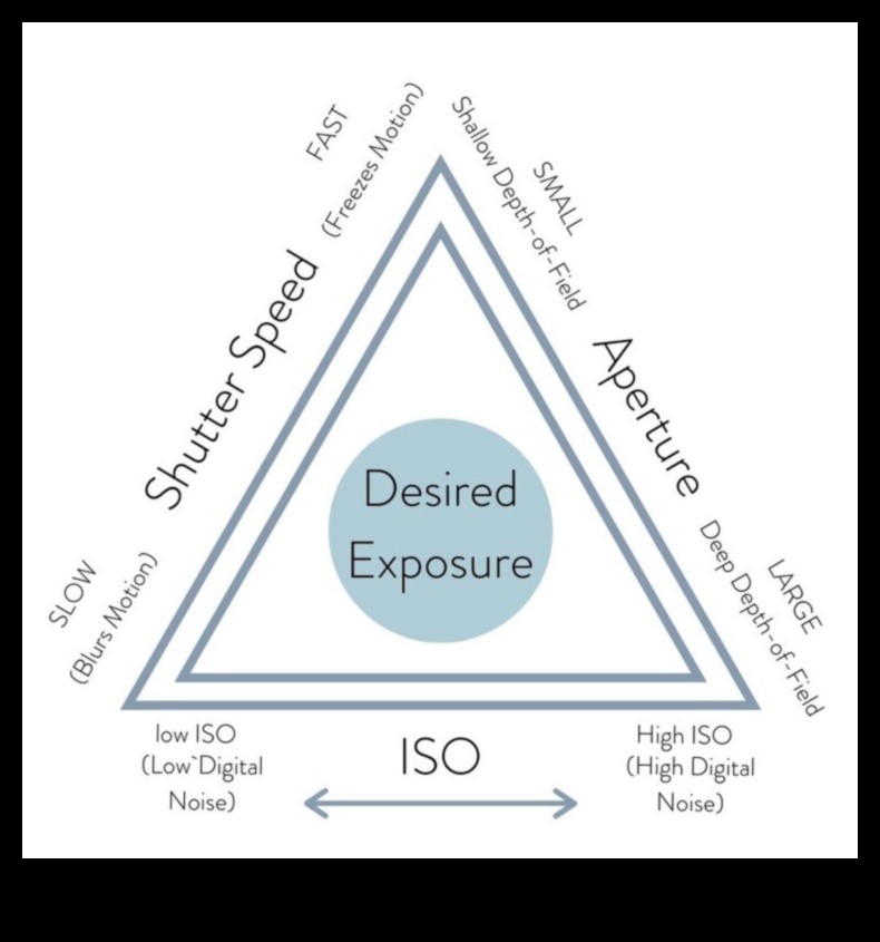 לכידת האור: טיפים מקצועיים לשליטה בחשיפה