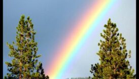 ללכוד את נוצץ הקשת של תמונות תוסס 2 Rainbow Radiance: טכניקות לצילום צבעוני