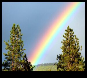 Rainbow Radiance: טכניקות לצילום צבעוני