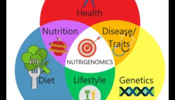 עתיד התזונה: פתיחת פוטנציאל באמצעות Nutrigenomics