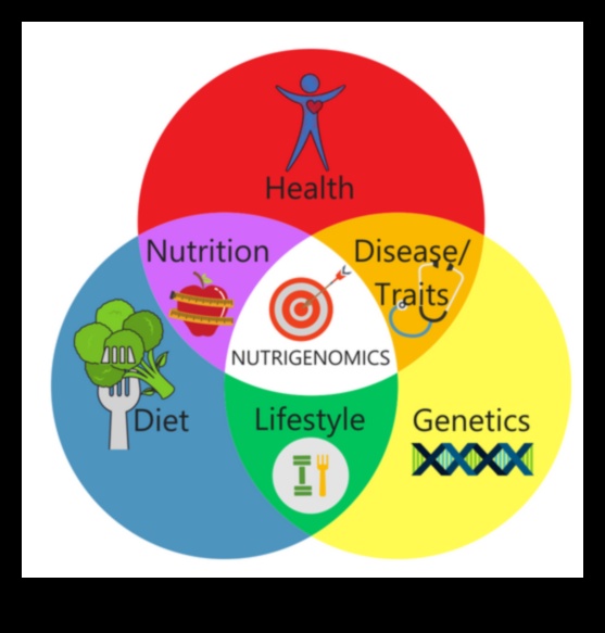 עתיד התזונה: פתיחת פוטנציאל באמצעות Nutrigenomics