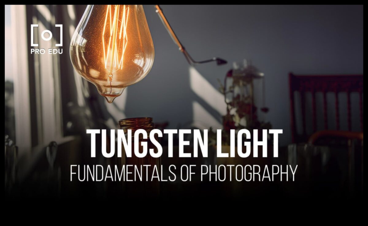 קסם תאורה: האיר את התמונות שלך עם הדרכות מקצועיות