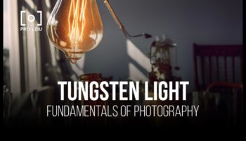 קסם תאורה: האיר את התמונות שלך עם הדרכות מקצועיות